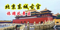 搜索男人用阴茎猛插女人阴道的黄色录像中国北京-东城古宫旅游风景区